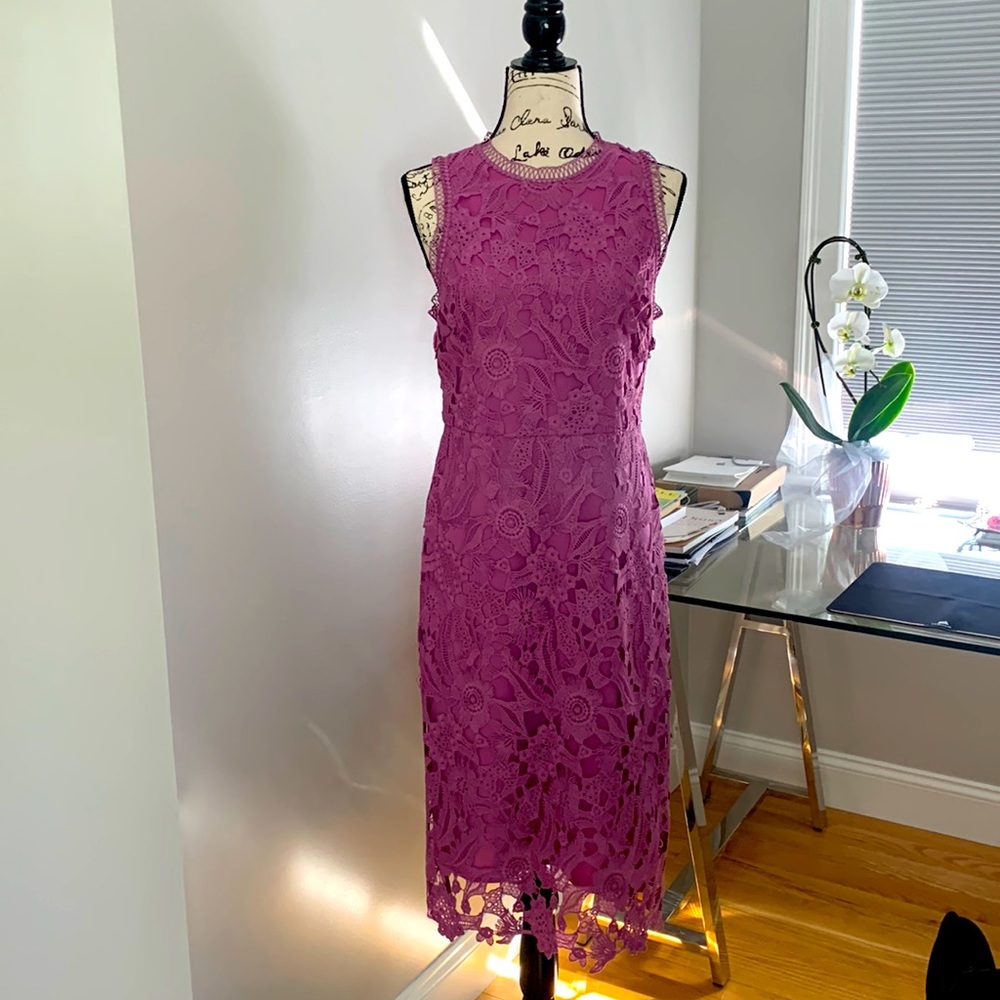Beautiful Sam Edelman cut out lace dress, fully lined, size 6, nwt